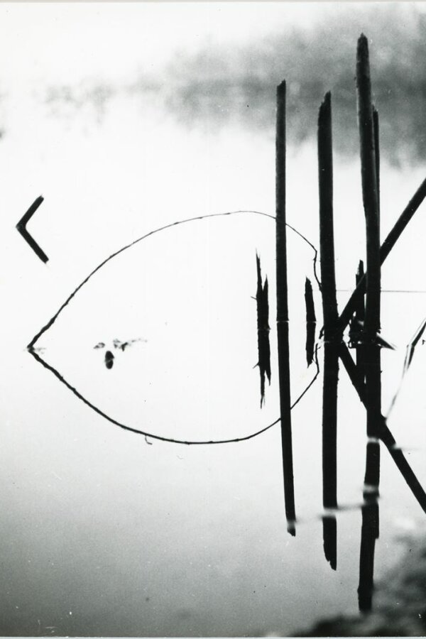 Broderie de Roseaux en Sologne, Compagne de Massy, „Creation Photographique“, 18 bis, rue Gambetta, Massy